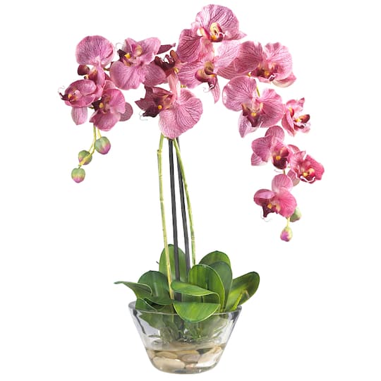 18&#x22; Moth Orchid Arrangement in Glass Vase